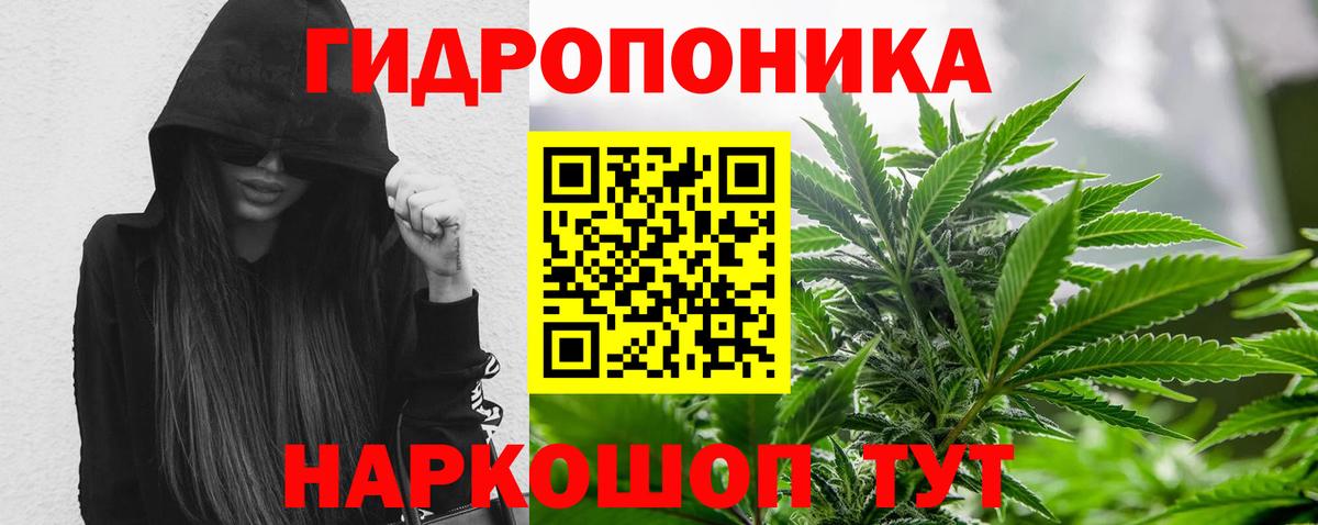 Марихуана White Widow Новочеркасск
